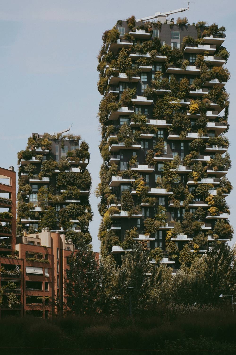 Il Bosco Verticale visto dal parco della Biblioteca degli Alberi